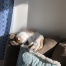 Creampuff
